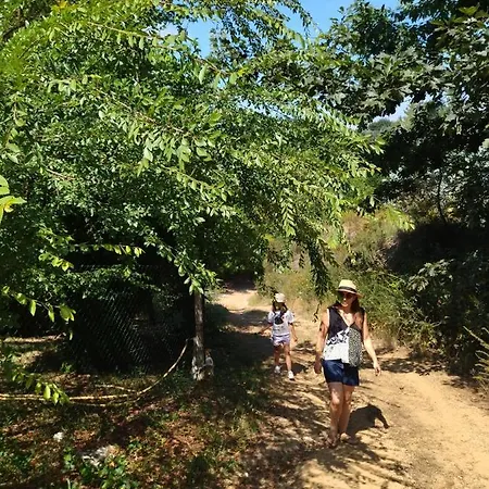 Casa Do Vale De Gondra *