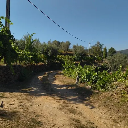 Casa Do Vale De Gondra 펜션