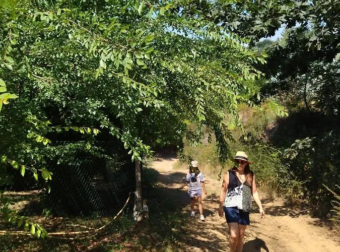 Casa Do Vale De Gondra *