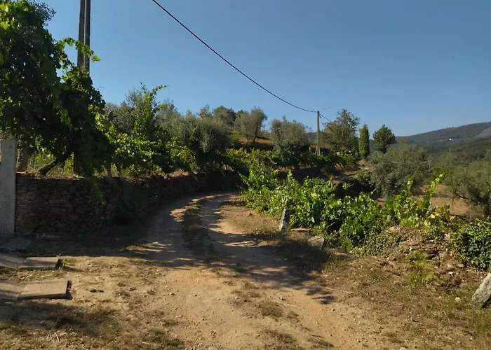 Casa Do Vale De Gondra בית נופש